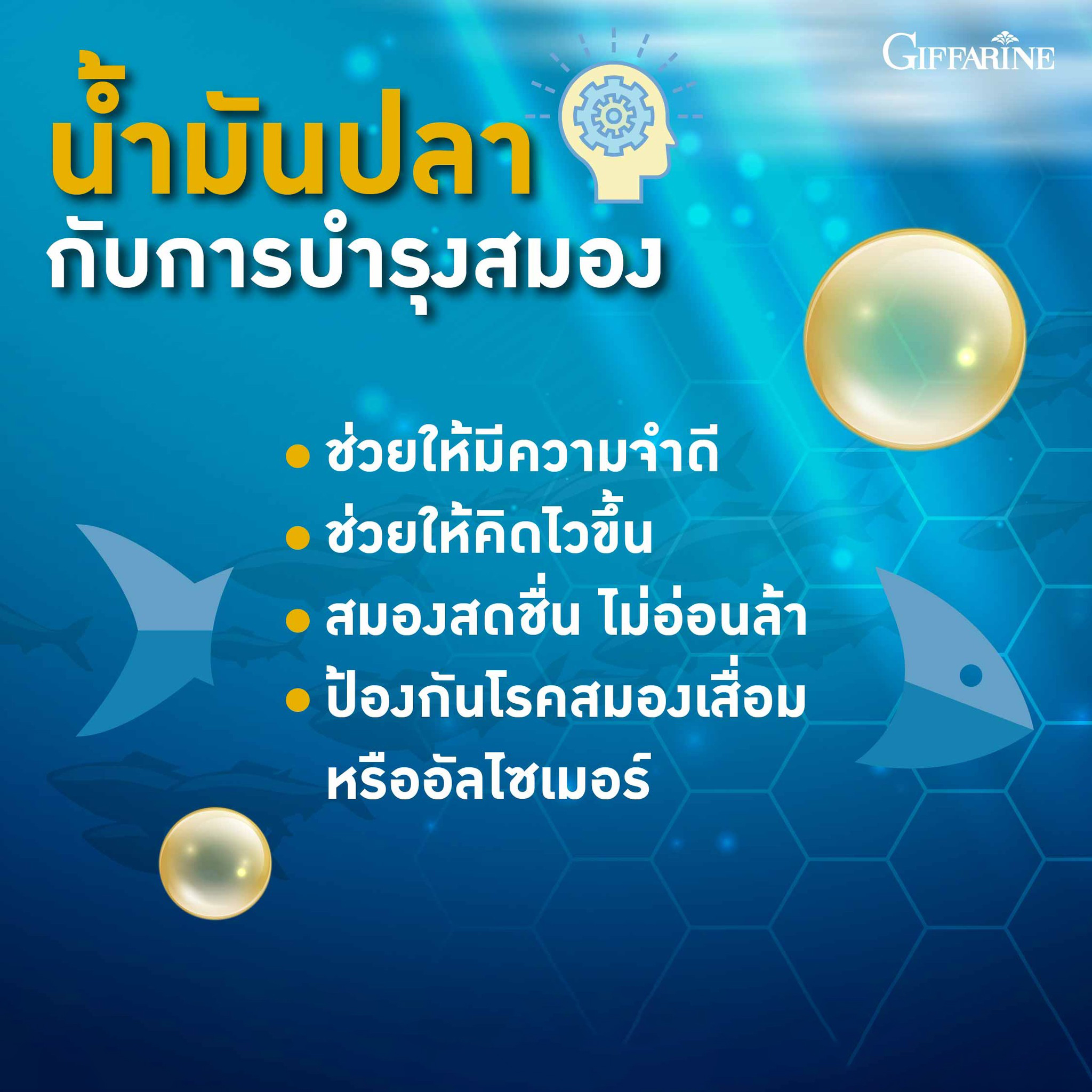 กิฟฟารีน น้ำมันปลา 4 เอ็กซ์ (ขนาด 1,000 มก. บรรจุ 30 แคปซูล)