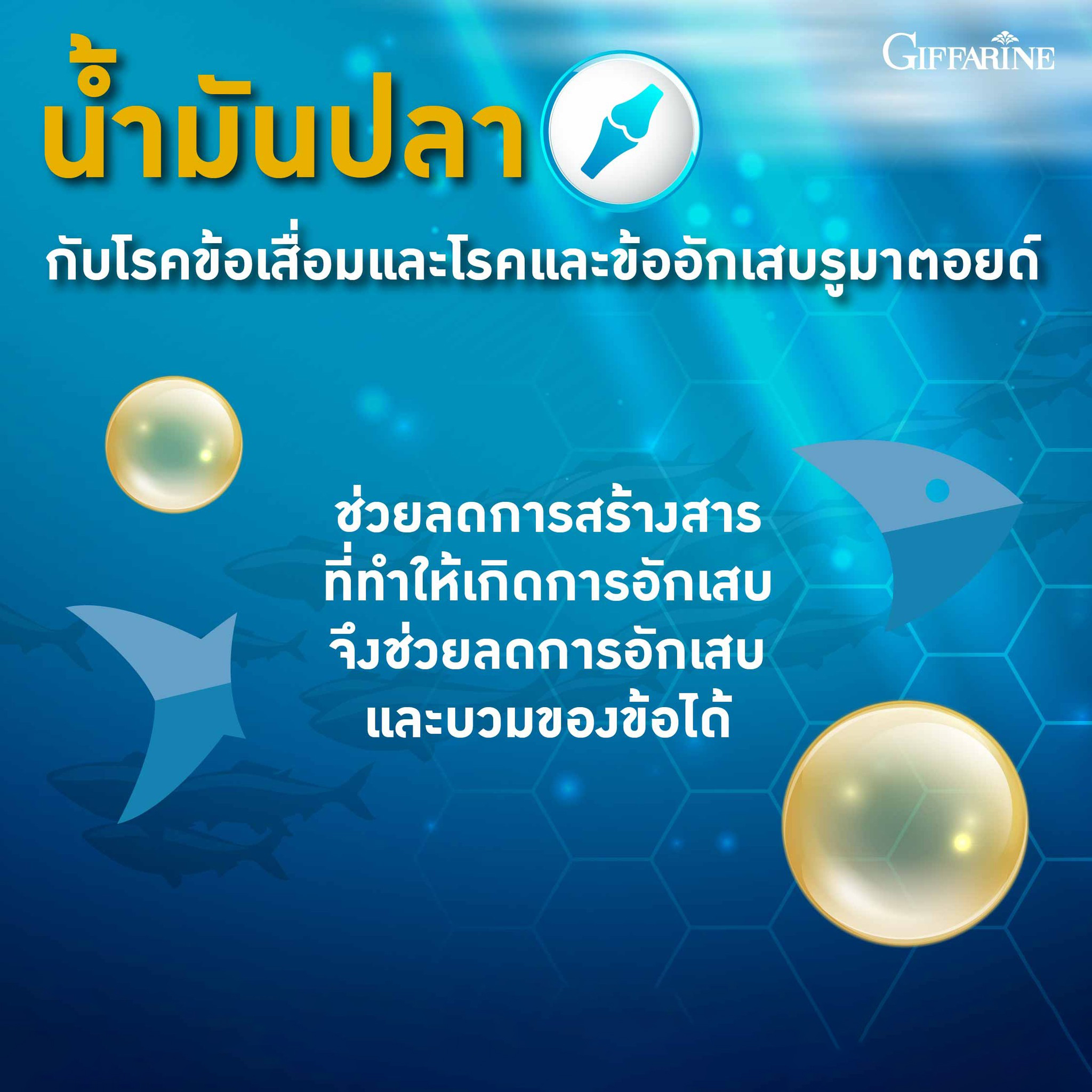 กิฟฟารีน น้ำมันปลา 4 เอ็กซ์ (ขนาด 1,000 มก. บรรจุ 30 แคปซูล)