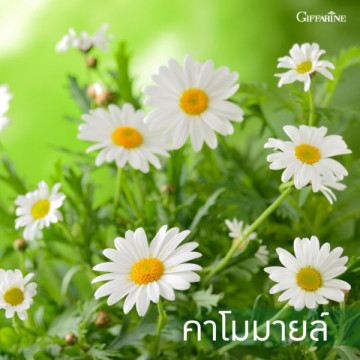 ยาสีฟัน กิฟฟารีน ไบโอ เทค สูตรเย็น ลมหายใจหอม สะอาด สดชื่นยาวนาน (160 กรัม)